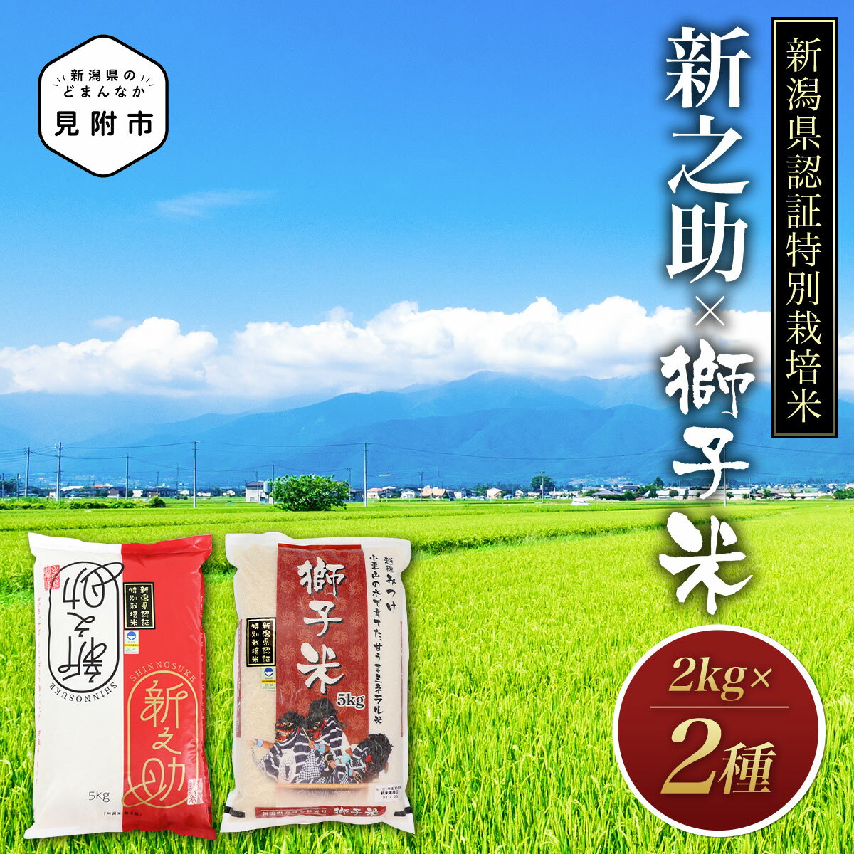 米 4kg ( 2kg×2種 )新潟 特別栽培米 令和5年産 食べくらべセット コシヒカリ「獅子米」&新之助 精米 したてを お届け 新潟 のど真ん中 見附市 こしひかり 米 お米 白米 国産 ごはん ご飯 県認証米 安心安全 ブランド 品集 送料無料