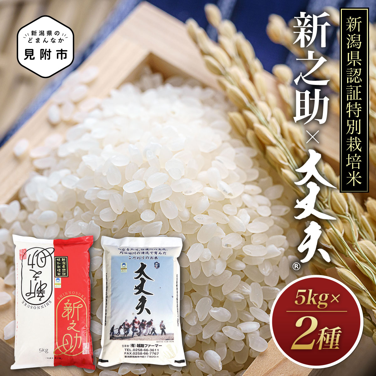 4位! 口コミ数「0件」評価「0」米 10kg ( 5kg×2種 ）新潟 特別栽培米 令和5年産 食べくらべセット コシヒカリ「大丈夫」＆新之助 精米 したてを お届け 新潟･･･ 