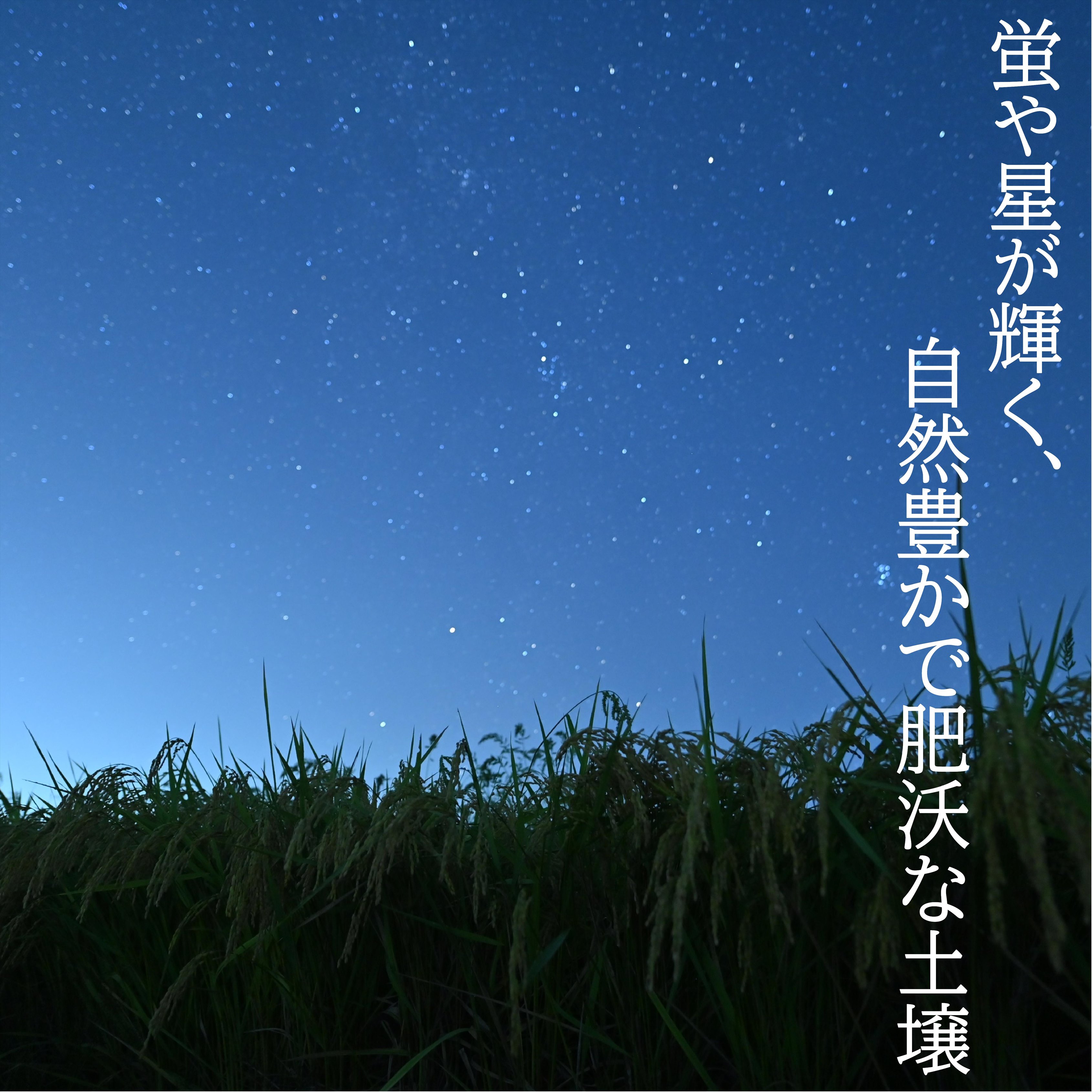 新潟県見附市の画像2