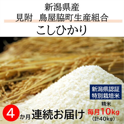 米 合計40kg ( 10kg×4カ月 ）定期便 新潟 特別栽培米 コシヒカリ 「鳥屋脇町生産組合コシヒカリ」 精米 したてを お届け 新潟 のど真ん中 見附市 こしひかり 米 お米 白米 国産 ごはん ご飯 県認証米 安心安全 令和5年産 送料無料