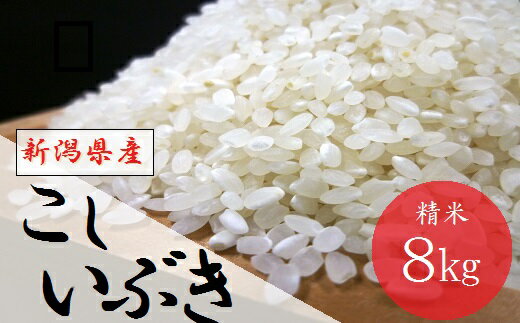 【ふるさと納税】令和3年産 新潟 県 産 こしいぶき 8kg 精米 送料無料