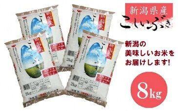 【ふるさと納税】令和3年産 新潟 県 産 こしいぶき 8kg 精米 送料無料