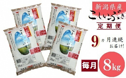 【ふるさと納税】令和3年産 新潟 県 産 こしいぶき 合計 72kg 定期便 （ 8kg × 9カ月 ）精米 送料無料