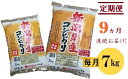 【ふるさと納税】新潟県 見附市産 コシヒカリ 合計 63キロ...