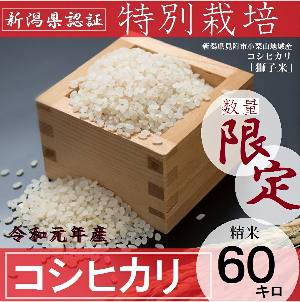 【ふるさと納税】数量 限定 新潟 県産 新米 コシヒカリ 合計 60kg 定期便 （...