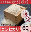 【ふるさと納税】数量 限定 新潟 県産 新米 コシヒカリ 合...
