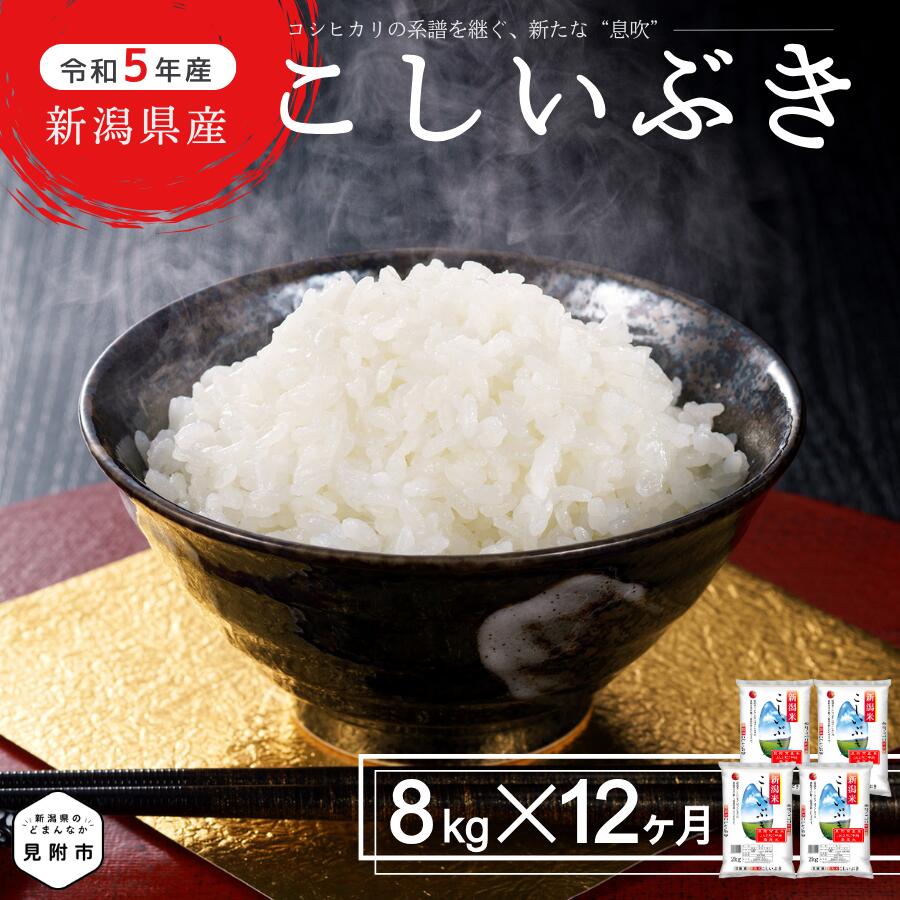 【ふるさと納税】 米 定期便 合計 96kg (8kg(2kg×4袋)×12ヶ月) 新潟県産 こしいぶき 精米 コシヒカリ を受け継ぐ美味しさ 精米 し立て..