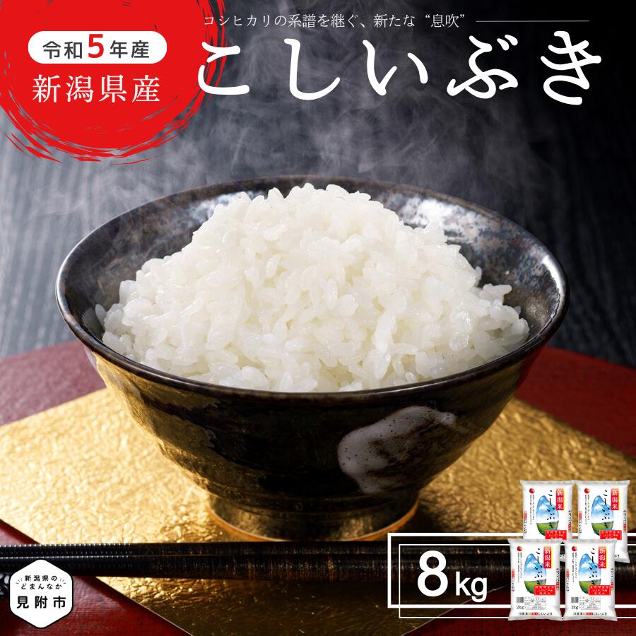 米 8kg(2kg袋×4つ) 新潟県産 こしいぶき 精米 コシヒカリ を受け継ぐ美味しさ 精米 し立てをお届け 新潟 のど真ん中 見附市 米 お米 白米 国産 ごはん ご飯 令和5年産 送料無料