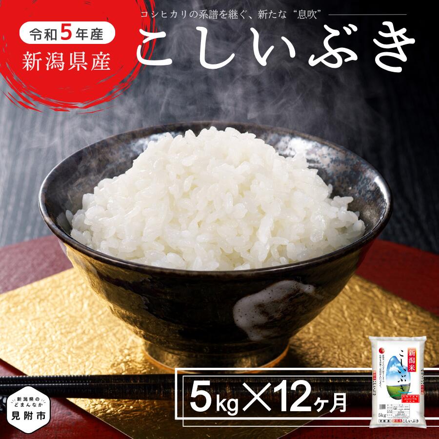 【ふるさと納税】 米 定期便 合計 60kg（ 5kg × 12カ月 ） 新潟県産 こしいぶき コシヒカリ を受け継ぐ美味しさ 精米 し立てをお届け 新潟 のど真ん中 見附市 米 お米 白米 国産 ごはん ご飯 JA えちご 中越 指定米 令和5年産 送料無料