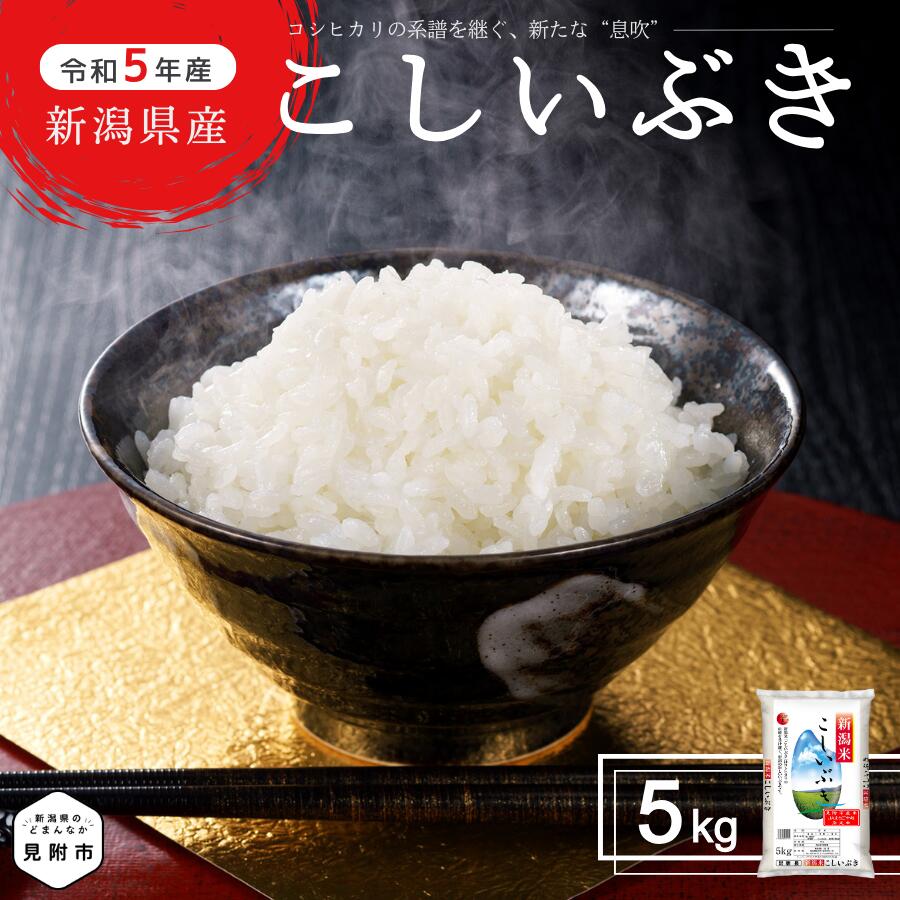 米 5kg 新潟県産 こしいぶき コシヒカリ を受け継ぐ美味しさ 令和5年度 精米 し立てをお届け 新潟 のど真ん中 見附市 米 お米 白米 国産 ごはん ご飯 JA えちご 中越 指定米 送料無料