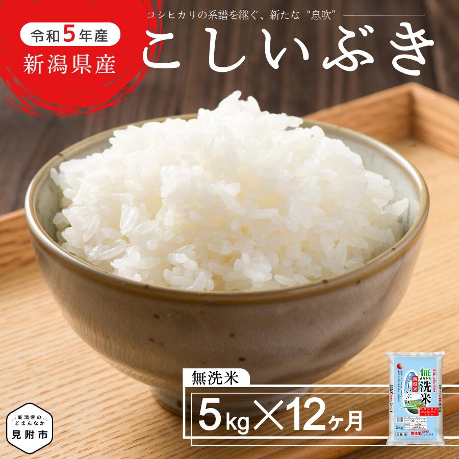 2位! 口コミ数「0件」評価「0」 無洗米 定期便 合計 60kg (5kg × 12ヶ月) 新潟県産 こしいぶき コシヒカリ を引き継ぐ美味しさ ブランド 品種 精米 し立･･･ 