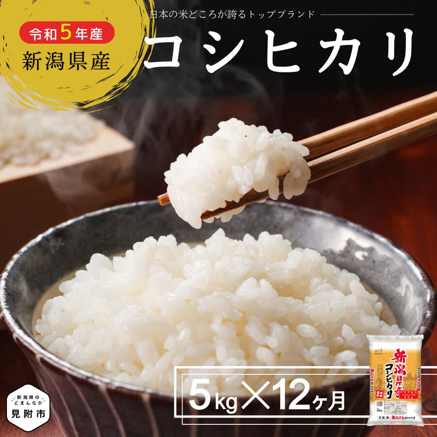 【ふるさと納税】 米 こしひかり 定期便 合計 60kg（ 5kg × 12ヶ月 ） 新潟県産 コシヒカリ 精米 し立てをお届け 新潟 のど真ん中 見附市 米 お米 白米 国産 ごはん ご飯 令和5年産 送料無料