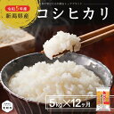 9位! 口コミ数「0件」評価「0」 米 こしひかり 定期便 合計 60kg（ 5kg × 12ヶ月 ） 新潟県産 コシヒカリ 精米 し立てをお届け 新潟 のど真ん中 見附市 ･･･ 