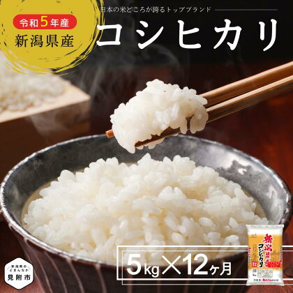 米 こしひかり 定期便 合計 60kg（ 5kg × 12ヶ月 ） 新潟県産 コシヒカリ 精米 し立てをお届け 新潟 のど真ん中 見附市 米 お米 白米 国産 ごはん ご飯 令和5年産 送料無料