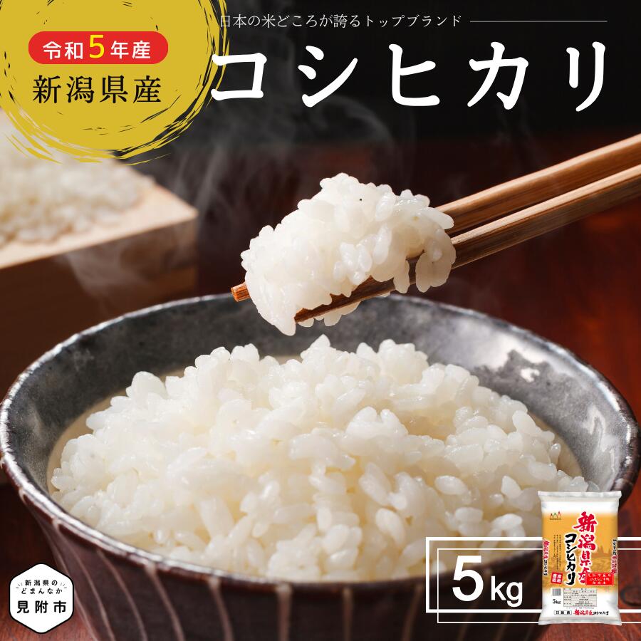 米 こしひかり 5kg 新潟県産 コシヒカリ お米 精米 ごはん ブランド 品種 令和5年産 精米 し立てをお届け 新潟 のど真ん中 見附市 米 お米 白米 国産 ごはん ご飯 送料無料