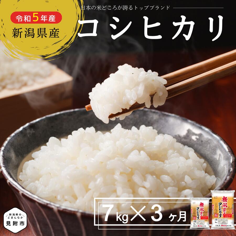 米 こしひかり 定期便 合計 21kg( 7kg(5kg袋+2kg袋) × 3カ月 ) 新潟県産 コシヒカリ 精米 し立てをお届け 新潟のど真ん中 見附市 こしひかり 米 お米 白米 国産 ごはん ご飯 令和5年産 送料無料