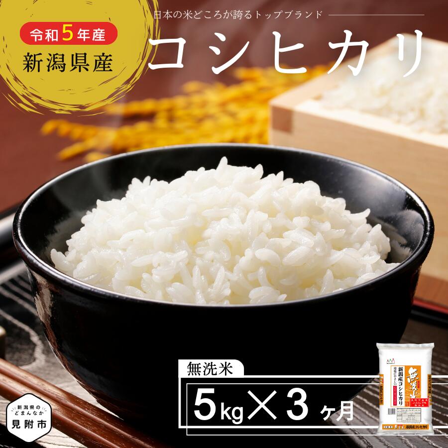 【ふるさと納税】 無洗米 こしひかり 定期便 合計 15kg（ 5kg × 3カ月 ） 新潟県産 コシヒカリ 洗わず...