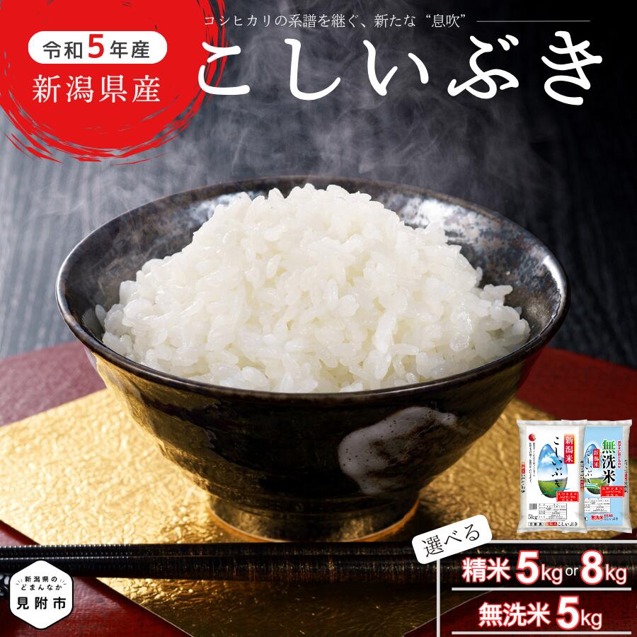  新潟県産 こしいぶき 選べる 精米 （ 5kg or 8kg ） 無洗米 （5kg） コシヒカリ を受け継ぐおいしさ 令和5年産 米 お米 ご飯 送料無料 美味しい 人気