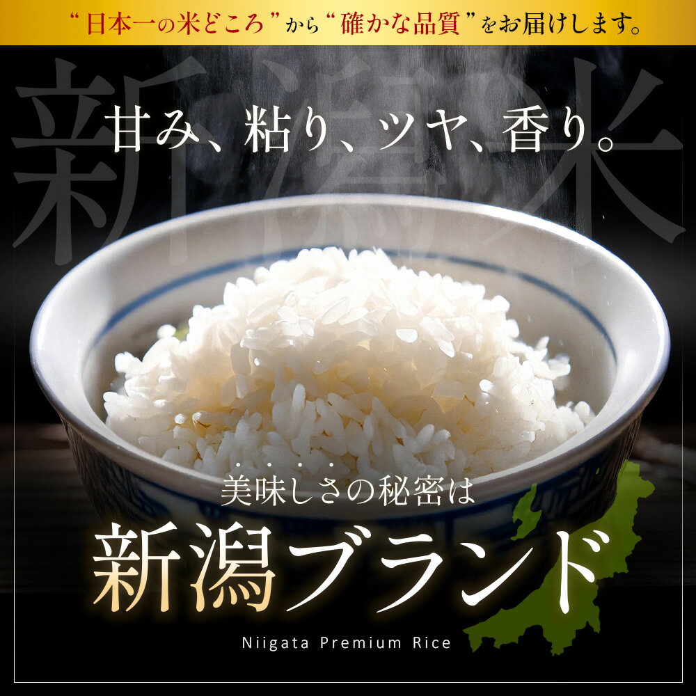 【ふるさと納税】 米 5kg 10kg 2kg 令和7年産 こしひかり こしいぶき 精米 こめ コメ 新潟県 産 おすすめ オススメ 恵水