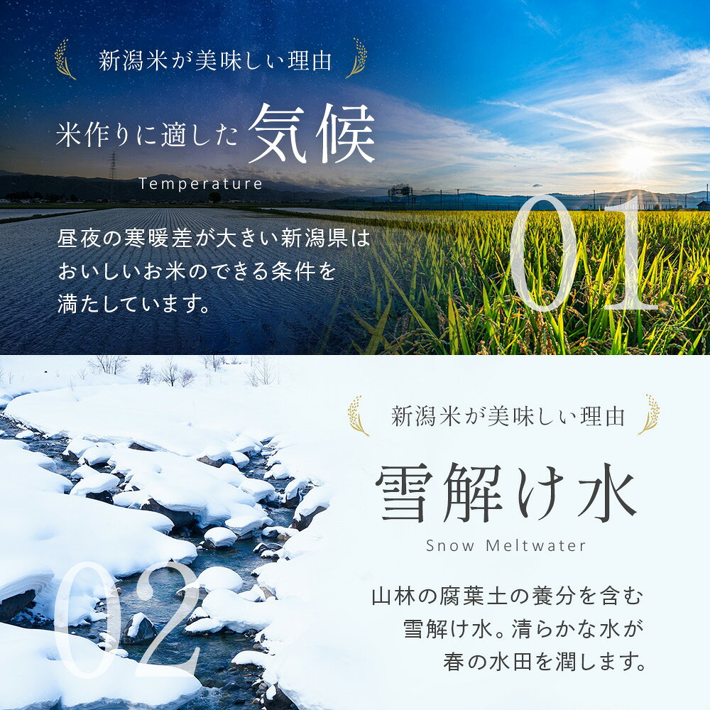 【ふるさと納税】令和8年産 新潟県見附市産 生活応援米10kg 新米 お米 米 訳あり 白米 精米 新潟米 新潟 ブランド いち会 f152111-mitsuke-10000823 新潟県見附市 サンプル画像3