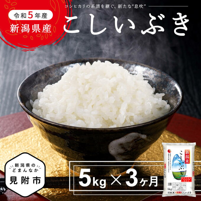 【ふるさと納税】 お米 定期便 3回 計15kg こしいぶき 令和5年産 新米 5kg × 3カ月 精米 コシヒカリを引き継ぐ 新潟県産 ブランド 品集 送料無料