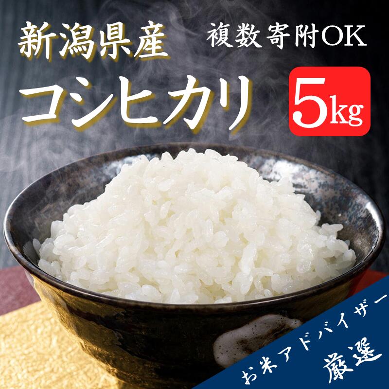 【ふるさと納税】令和4年産新潟県産コシヒカリ5kg精米したてをお届け新潟のど真ん中見附市