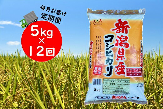 【ふるさと納税】令和4年産新潟県産コシヒカリ計60kg定期便(5kg×12ヶ月)精米送料無料