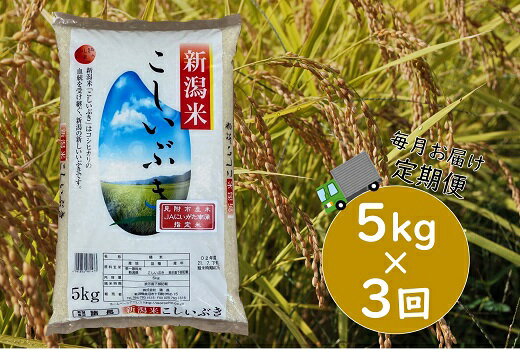【ふるさと納税】令和4年産新潟県産こしいぶき合計15kg定期便(5kg×3カ月)精米送料無料