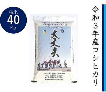 【ふるさと納税】新潟 特別栽培米 令和3年産 コシヒカリ 「大丈夫コシヒカリ」 精米 40kg ( 10kg×4ヶ月 ）定期便 送料無料 県認証米 安心安全