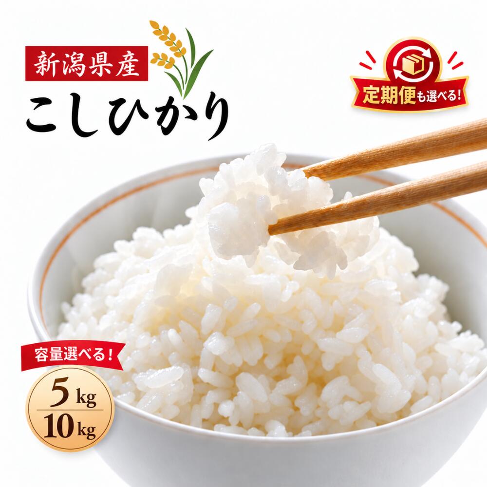 米 コメ お米 おこめ こしひかり 精米 白米 5kg 10kg 令和8年産 2026年産 送料無料 新潟 見附 見附市 岩渕農場