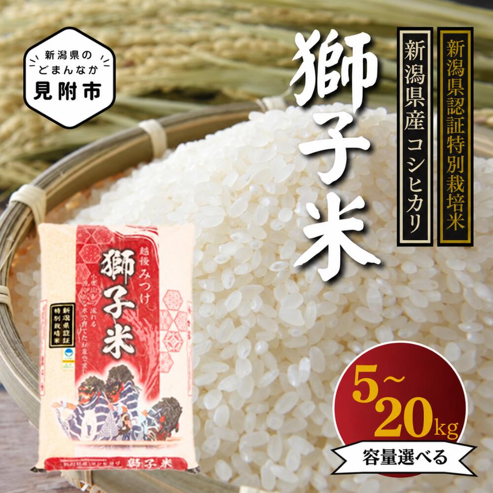 【ふるさと納税】米 新潟県産 令和8年産 こしひかり 5～20kg 　容量選べる 定期便 特別栽培米 コシヒカリ 「獅子米」 お米 精米 ごはん ブランド 品種 送料無料 新潟県認証米 ご飯 安心安全 ブランド 減農薬 お米 おこめ 新潟産 新潟 定期 3回 3か月