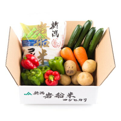 [令和5年産米]新潟県岩船米コシヒカリ2kgと季節の野菜セット1 お米 白米 ご飯 ごはん 調味料 産地直送 村上市