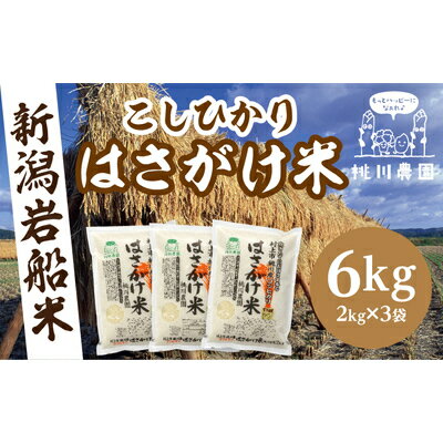 8位! 口コミ数「0件」評価「0」【新米受付・令和6年産米】新潟県 村上市 桃川産 特選コシヒカリ はさがけ米 合計 6kg 2kg×3袋 米 精米 白米 ご飯 ごはん 新潟･･･ 