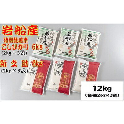 [令和5年産米]新潟県 岩船産 新之助・特別栽培米 新潟県 岩船産 コシヒカリ セット12kg 各2kg×3袋 米 精米 白米 ご飯 ごはん 食べ比べ 村上市