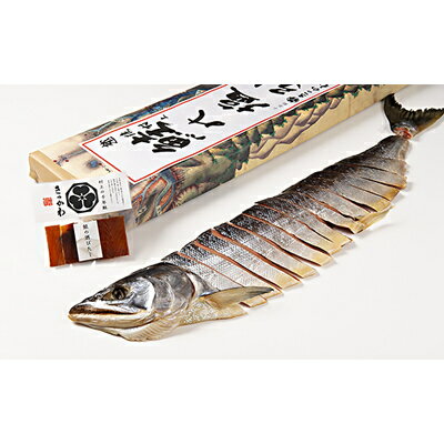 【ふるさと納税】千年鮭きっかわ 塩引鮭 半身・酒びたし セット 塩引き鮭 鮭 切り身 シャケ さけ サケ 焼き魚 魚 魚介類 国内産 国産 新潟県 村上市 越後村上名物 箱入り 冷蔵 C4066のサムネイル