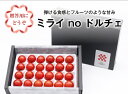 【ふるさと納税】A4211 【数量・期間限定】【7月上旬から順次発送】『ミライ no ドルチェ』プレミアム 新潟県村上産ミニトマト(化粧箱入り)500g程度×1ケース トマト ミニトマト とまと 野菜 夏野菜 新鮮 サラダ 高糖度 甘い 赤い 濃厚 トマト料理 箱詰め 村上市(4)