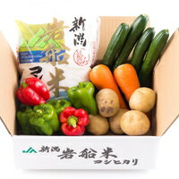 【ふるさと納税】A4031 岩船米コシヒカリと季節の野菜セット1