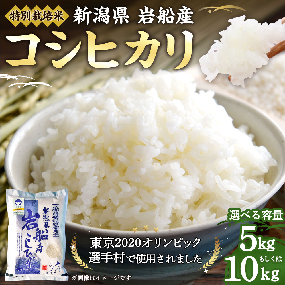 サンプル画像2