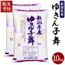 人気ランキング第7位「新潟県村上市」口コミ数「1件」評価「4」【新米受付・令和6年産米】 新潟県産 ゆきん子舞 合計 10kg 5kg×2袋 お米 精米 白米 ご飯 ごはん 村上市 NA4197