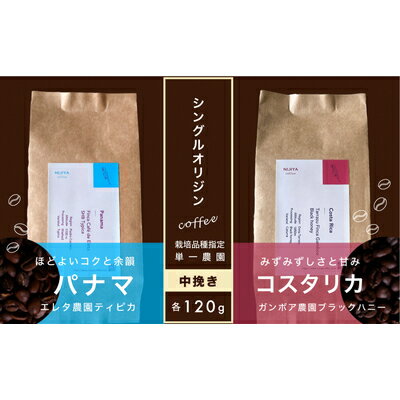 3位! 口コミ数「0件」評価「0」【村上の自家焙煎 シングルオリジンコーヒー 厳選2種】各120g / 浅煎り〜中煎り【 中挽き 】1075012