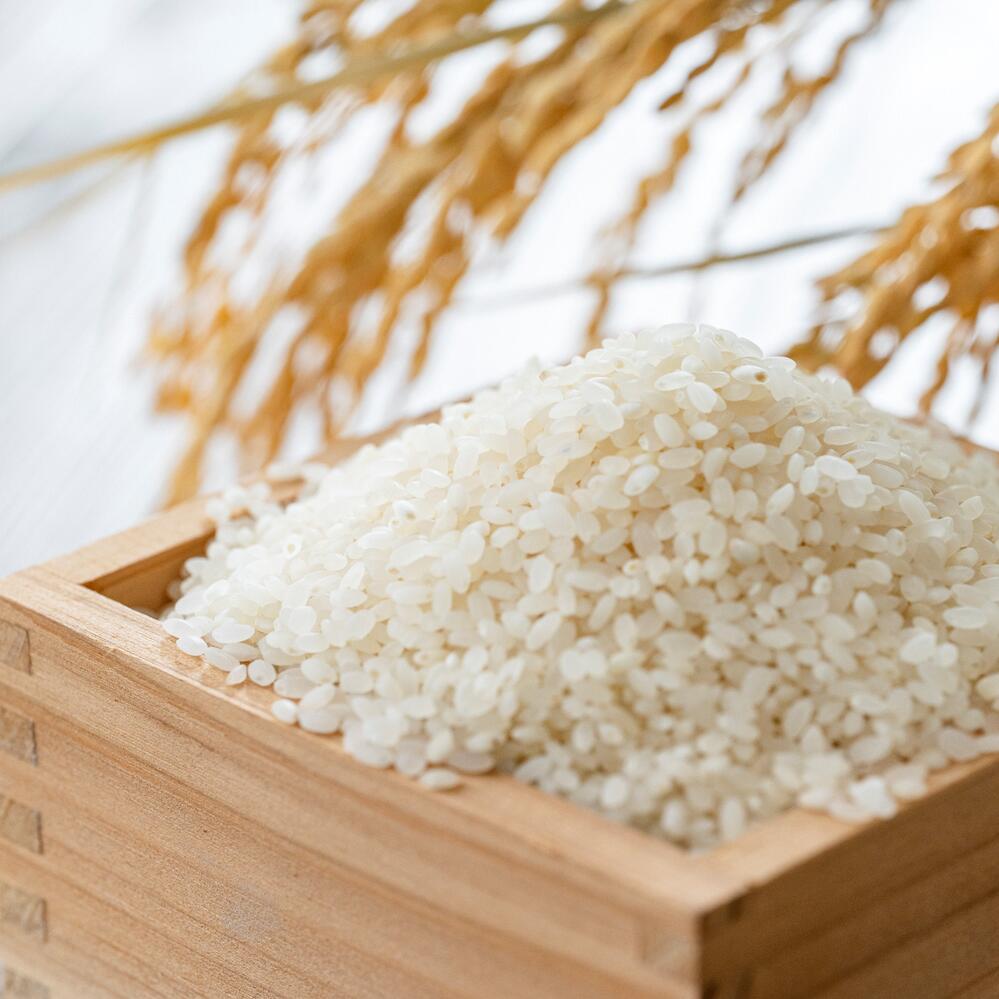 こしいぶきは、コシヒカリと似た食味を持つとされていますが、比べてみるとお米自体の甘さはあっさりとしていて、味の濃いおかずとの相性が非常に良いとされているのが特長です。　【ふるさと納税】 【令和7年産米】【選べる内容量】 新潟県産 こしいぶき 5kgまたは 5kg×2袋（合計10kg） 精米 お米 白米 1033001 1033003