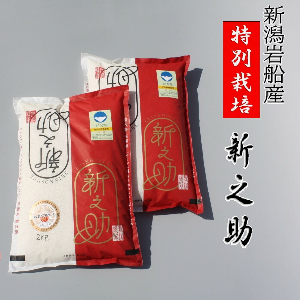 [令和5年産米]米の名産地 新潟県岩船産 特別栽培米 新之助 4kg(2kg×2袋) 1039014 | 白米 食味鑑定士謹製 一等米 プレミアム米 新耕農産 ツヤツヤ 農家直送 低温倉庫保管 安心 安全 小分けサイズ こだわり