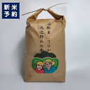 【ふるさと納税】【新米受付・令和7年産米】【数量限定】新潟県岩船産 こしひかり 辰次郎のお米 精米 10kg 米 お米 白米 ご飯 ごはん コシヒカリ 新潟産 ...