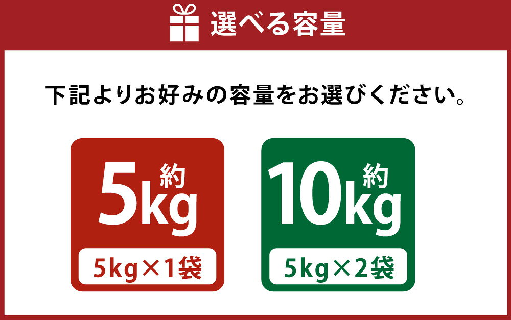 【ふるさと納税】【令和7年産米】【選べる内容量】新潟県産 ゆきん子舞5kgまたは10kg（5kg×2袋 ）お米 精米 白米 ご飯 ごはん 新潟県 村上市 A4197 1033004 f152129-murakami-10000598 新潟県村上市 サンプル画像3