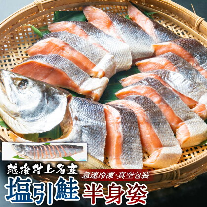 塩引鮭 半身姿 塩引き鮭 鮭 切身 切り身 シャケ さけ サケ 焼き魚 魚 魚介類 北海道産 国内産 国産 新潟県 村上市 越後村上名物 箱入り 冷凍 B4093