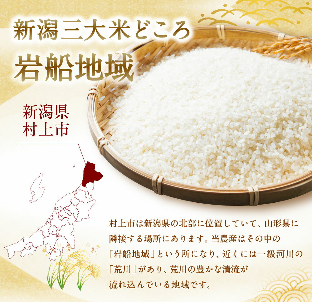 【ふるさと納税】【令和7年産米】 【選べる容量】 新潟県村上市岩船産新之助 5kg もしくは 6kg お米 精米 白米 ご飯 ごはん しんのすけ 村上市 1013002 A4101