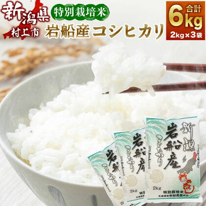 【令和5年産米】 特別栽培米 新潟県 岩船産 コシヒカリ 合計 6kg 2kg×3袋 お米 精米 白米 ご飯 ごはん 村上市 A4102