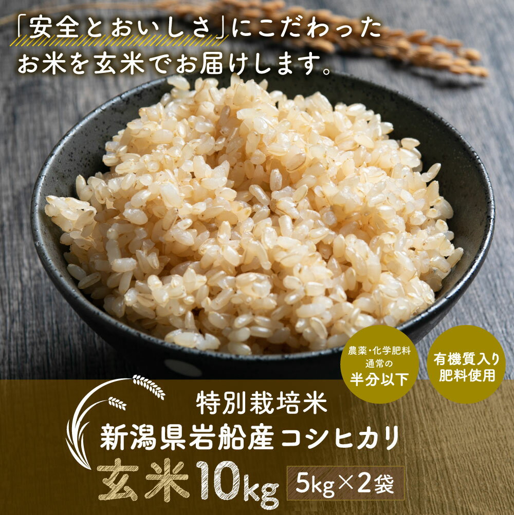 【ふるさと納税】【令和5年産米】特別栽培米 新潟県 岩船産 コシヒカリ 玄米 合計 10kg 5kg×2袋 お米 ご飯 ごはん 新潟県 村上市 AB4019