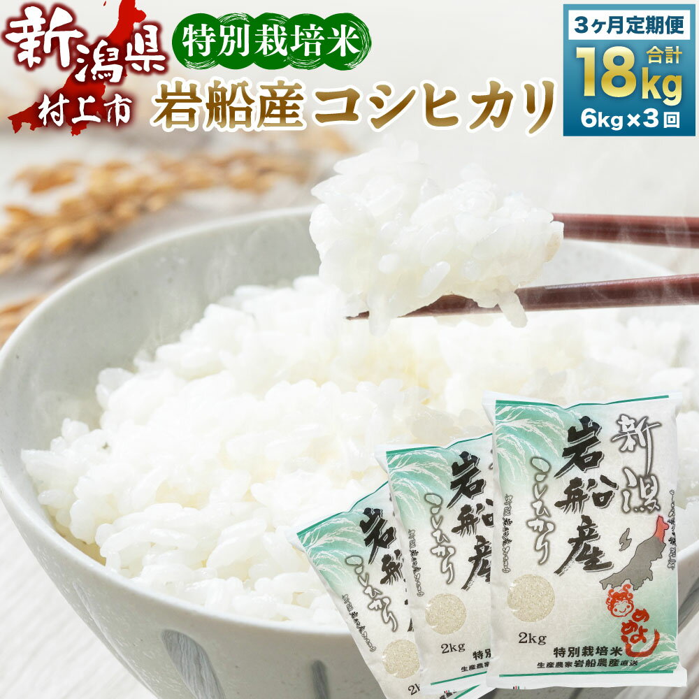 8位! 口コミ数「1件」評価「5」【令和5年産米】特別栽培米 新潟県 岩船米 コシヒカリ 18kg (6kg×3ヶ月コース）お米 精米 白米 ご飯 ごはん 村上市 C4042