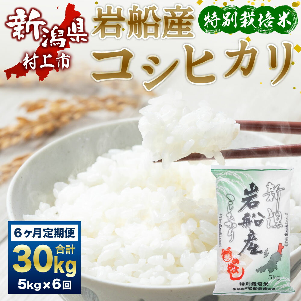 【ふるさと納税】＜6ヶ月 定期便＞【令和5年産米】特別栽培米 新潟県 岩船産 コシヒカリ 合計 30kg （5kg×6ヶ月コース） お米 精米 白米 ご飯 ごはん 新潟県 村上市 D4036